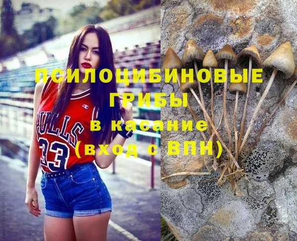 COCAINE Богданович
