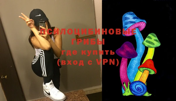 соль курить ск Богородск