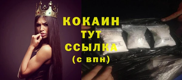 кокс Богородицк