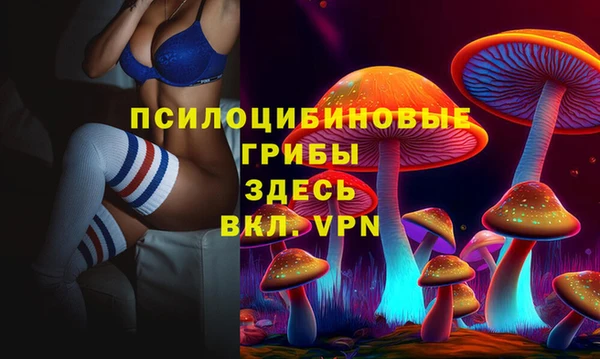 COCAINE Богданович
