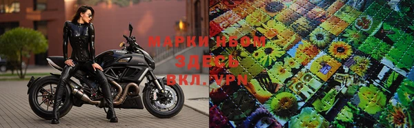 кокс Богородицк