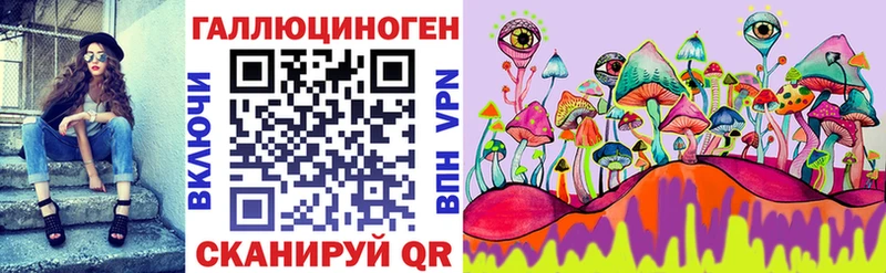 Купить где  Ишим  Псилоцибиновые грибы мицелий 