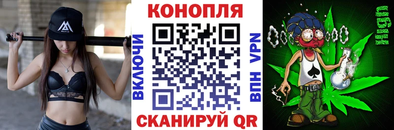 Купить где  Ишим  МАРИХУАНА план 